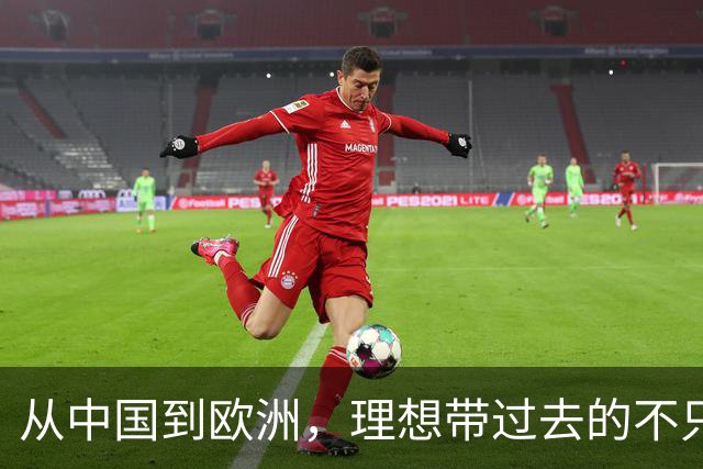 从中国到欧洲，理想带过去的不只是一台Li 6
