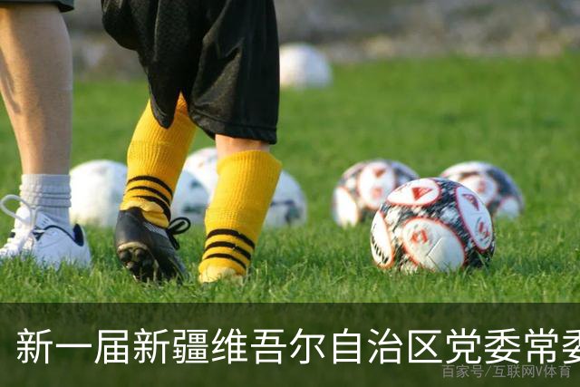 新一届新疆维吾尔自治区党委常委简历