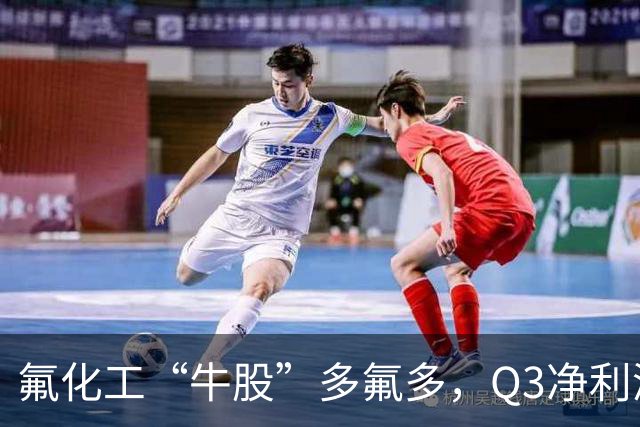 氟化工“牛股”多氟多，Q3净利润环比下降41%，股价较年内高点回撤56%