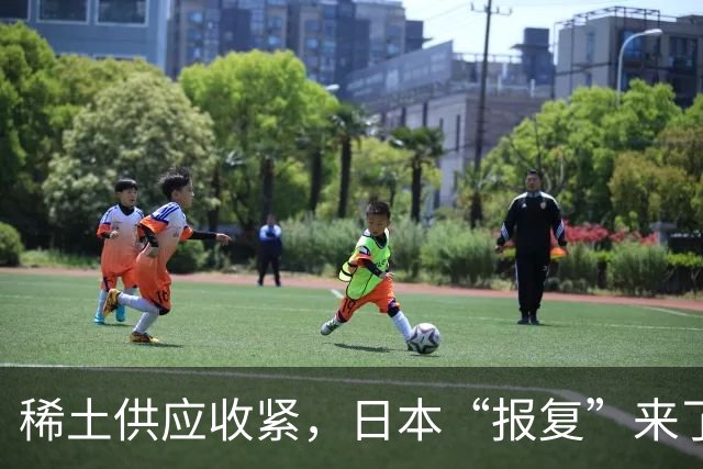 稀土供应收紧，日本“报复”来了，同日，官宣高市拟赴华参会