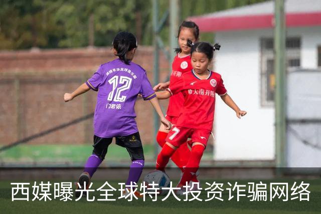 西媒曝光全球特大投资诈骗网络