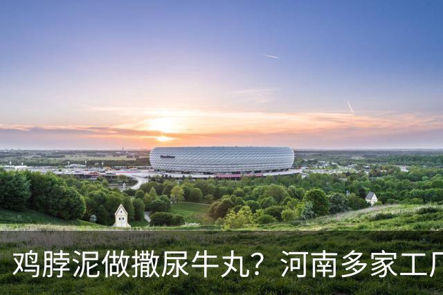 鸡脖泥做撒尿牛丸？河南多家工厂被曝光，厂家提醒：有馅料的少吃