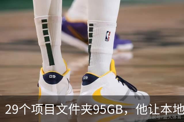 29个项目文件夹95GB，他让本地模型逐个判生死